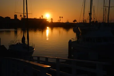 DSC_7306 (Large).JPG